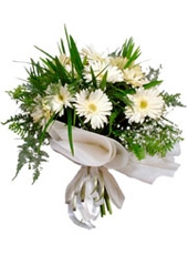 Beyaz Gerbera Buketi