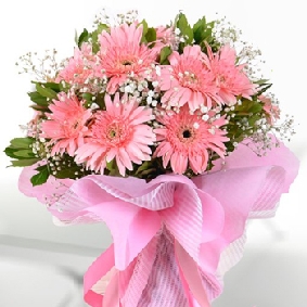 PEMBE SEVDA